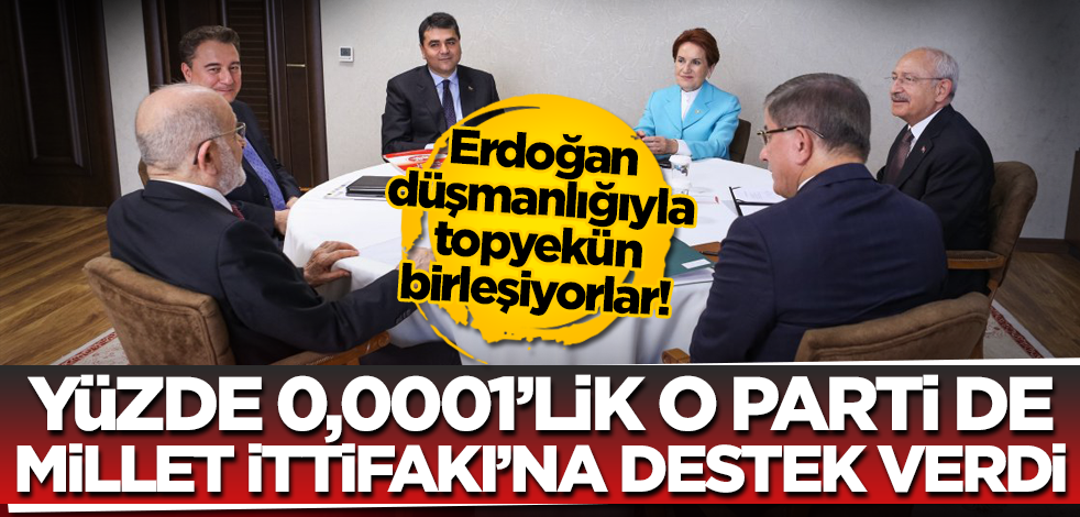 Erdoğan düşmanlığıyla topyekün birleşiyorlar! Yüzde 0,0001'lik o parti de Millet İttifakı’na destek verdi