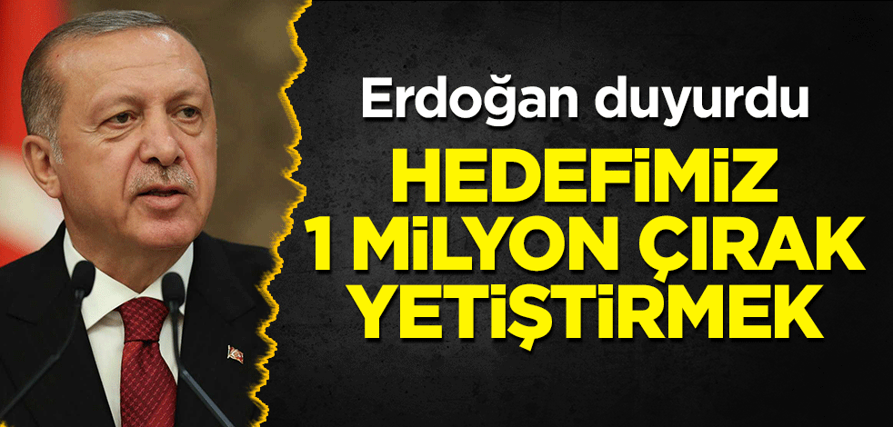 Erdoğan duyurdu: Hedefimiz 1 milyon çırak yetiştirmek