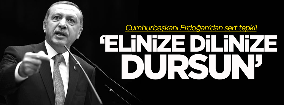 Erdoğan: Elinize dilinize dursun