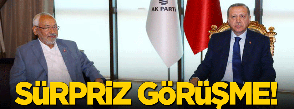 Erdoğan Gannuşi'yi kabul etti