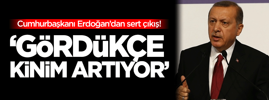 Erdoğan: Gördükçe kinim artıyor