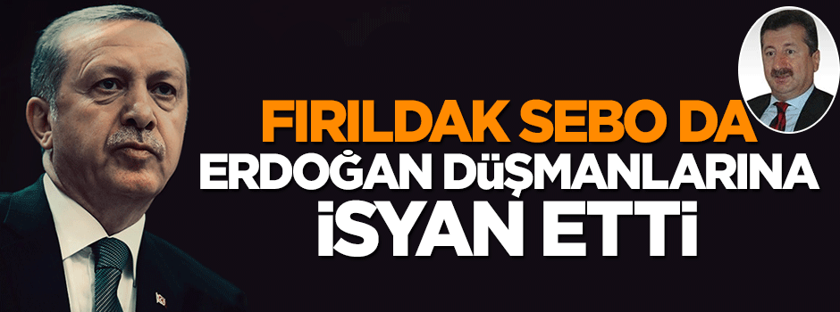 'Erdoğan gtisin de ne olursa olsun' diyenlere Ulusalcı Sebo da isyan etti