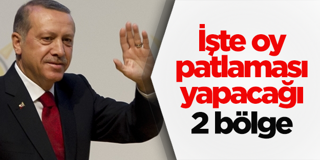 "Erdoğan Güneydoğu ve Doğu Anadolu'da oy patlaması yapacak"