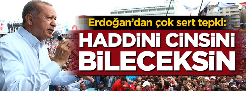 Erdoğan: Haddini cinsini bileceksin