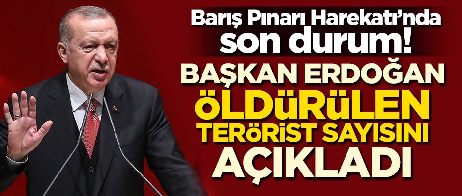 Erdoğan harekatta öldürülen terörist sayısını açıkladı!