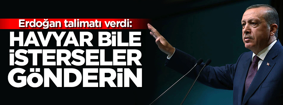 Erdoğan: Havyar bile isterseler gönderin