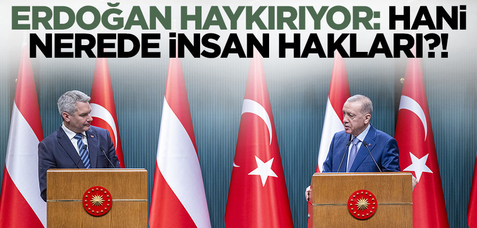 Erdoğan haykırıyor: "Hani nerede insan hakları?!"