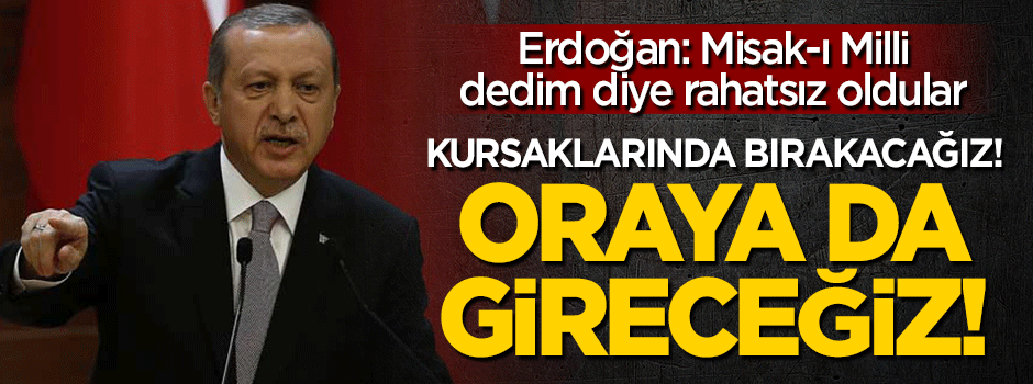 Erdoğan: Heveslerini kursaklarında bırakacağız