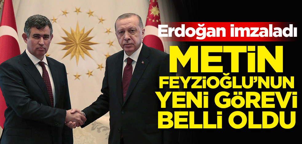 Erdoğan imzaladı! Metin Feyzioğlu'nun yeni görevi belli oldu