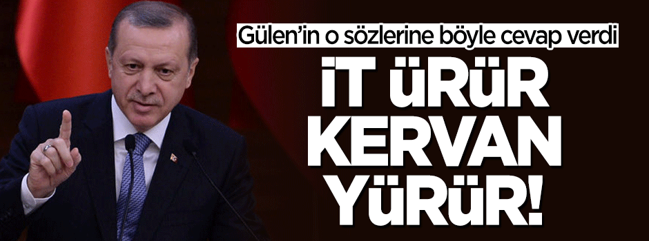 Erdoğan: İt ürür, kervan yürür!