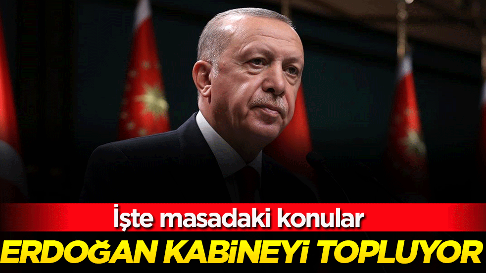 Erdoğan kabineyi topluyor! İşte masadaki konular!