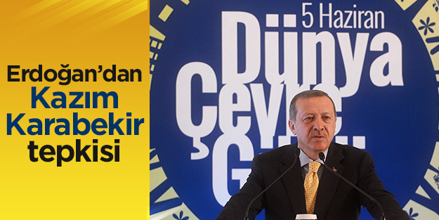 Erdoğan: Kazım Karabekir'i dert etmişler...