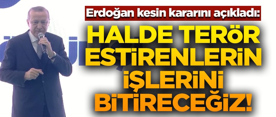 Erdoğan kesin konuştu! "Halde terör estirenlerin işlerini bitireceğiz"