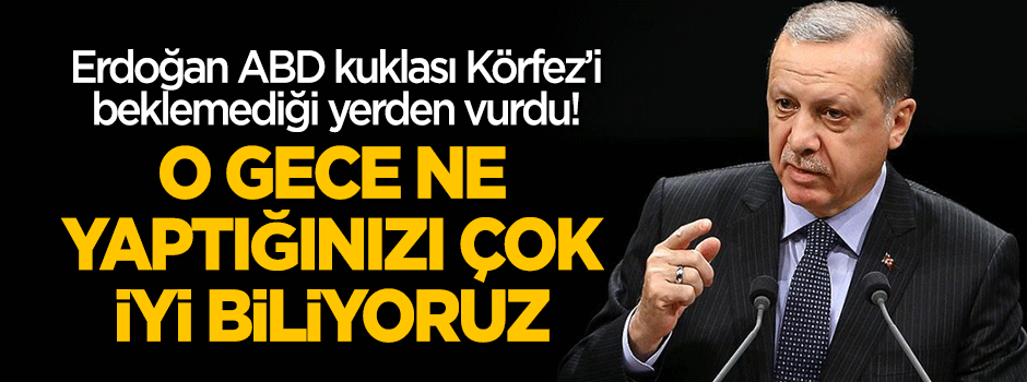 Erdoğan Körfez'i beklemedikleri yerden vurdu!