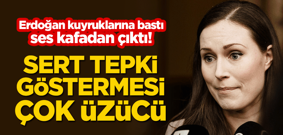 Erdoğan kuyruklarına bastı, ses kafadan çıktı! "Sert tepki göstermesi çok üzücü"