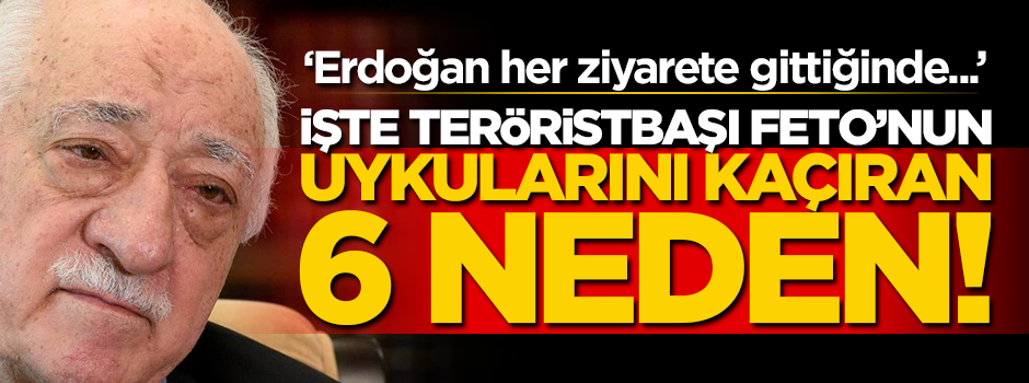 Erdoğan liderleri ziyaret edince... İşte teröristbaşı Feto'nun uykularını kaçıran 6 neden!