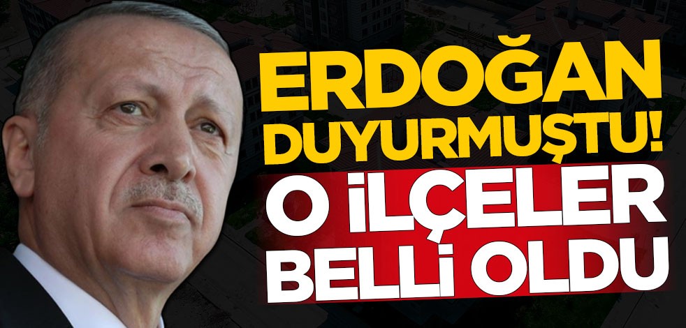 Erdoğan müjdeyi vermişti! O ilçeler belli oldu