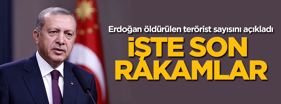 Erdoğan öldürülen PKK'lı sayısını açıkladı!