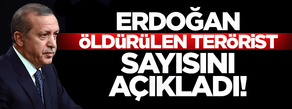 Erdoğan öldürülen terörist sayısını açıkladı