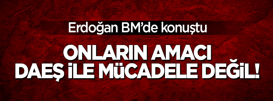 Erdoğan: Onların amacı DEAŞ ile mücadele değil!