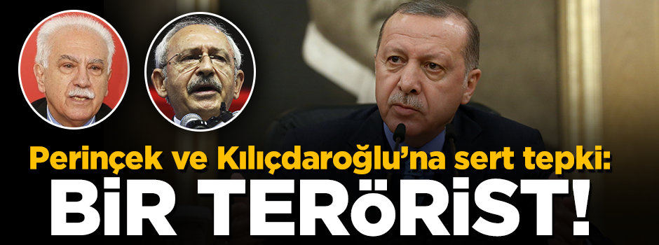 Erdoğan, Perinçek ve Kılıçdaroğlu'nun sözlerine sert tepki gösterdi