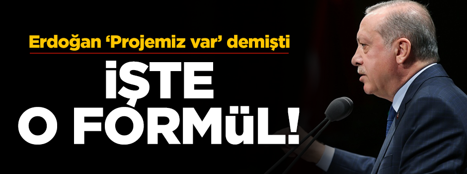 Erdoğan projemiz var demişti! İşte doları düşürecek formül