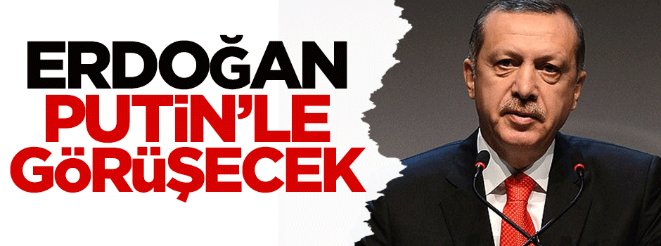 Erdoğan, Putin'le görüşecek