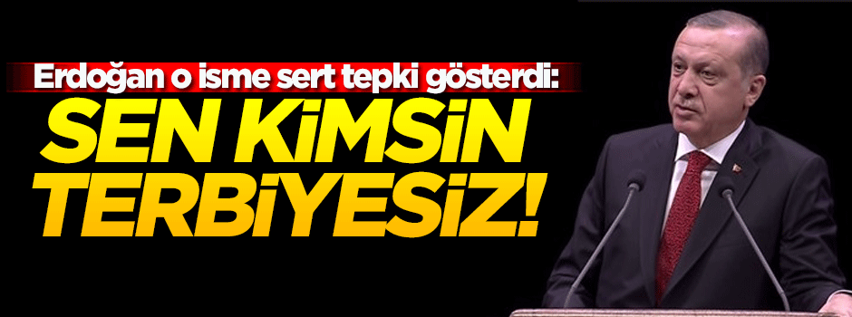 Erdoğan: Sen kimsin terbiyesiz!