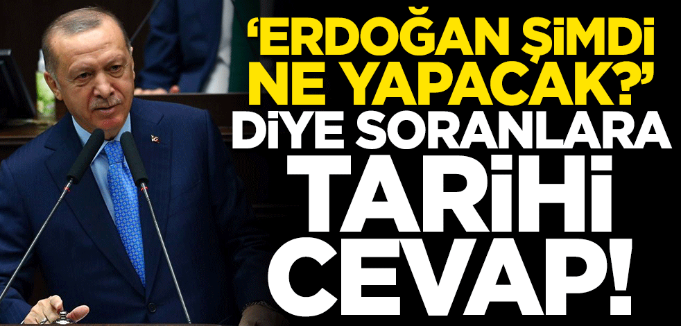 'Erdoğan şimdi ne yapacak?' diye soranlara tarihi cevap!