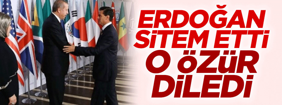 Erdoğan sitem etti, Nieto özür diledi
