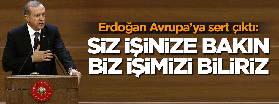 Erdoğan: Siz işinize bakın biz işimizi biliriz