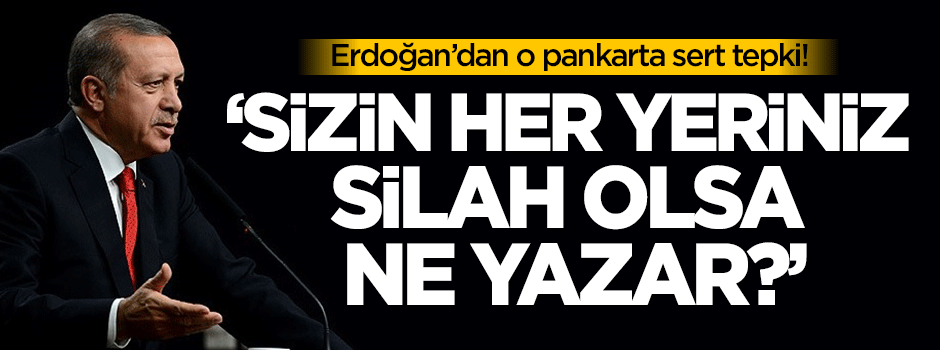 Erdoğan: Sizin her yeriniz silah olsa ne yazar?
