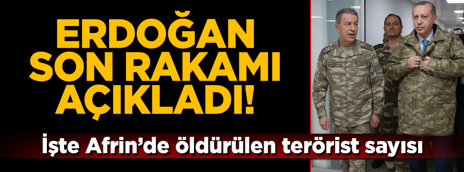 Erdoğan son rakamı verdi: 3603 terörist etkisiz hale getirildi
