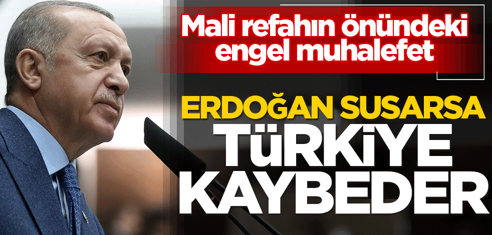 Erdoğan susarsa Türkiye kaybeder