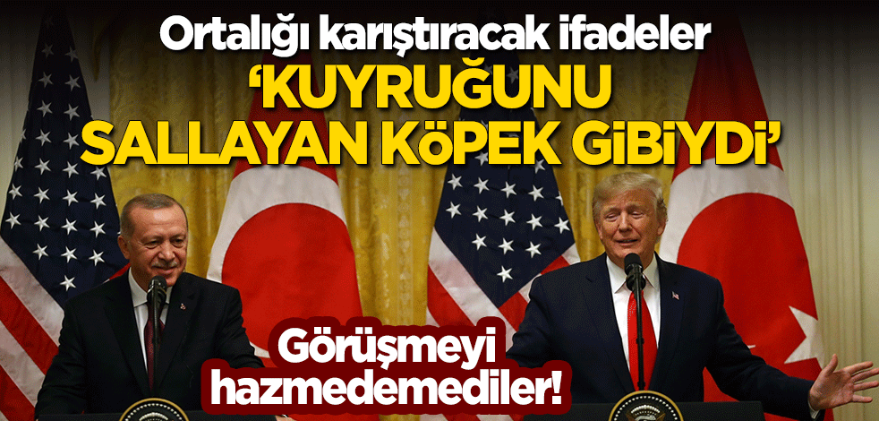 Erdoğan-Trump görüşmesini hazmedemediler! Ortalığı karıştıracak sözler: Kuyruğunu sallayan köpek gibiydi