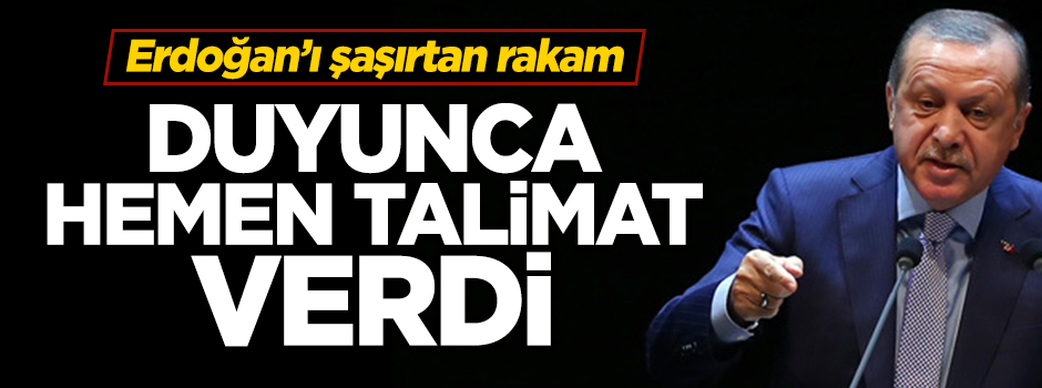 Erdoğan uçak sefer sayısının arttırılması talimatını verdi