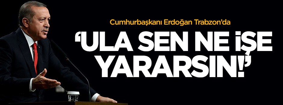 Erdoğan: Ula sen ne işe yararsın!
