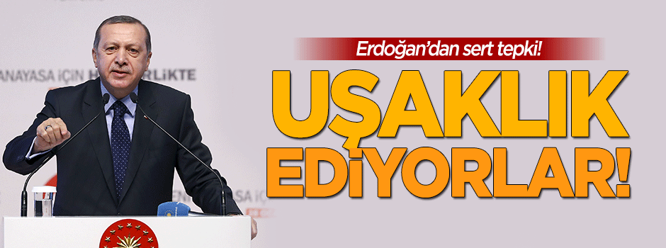 Erdoğan: Uşaklık ediyorlar