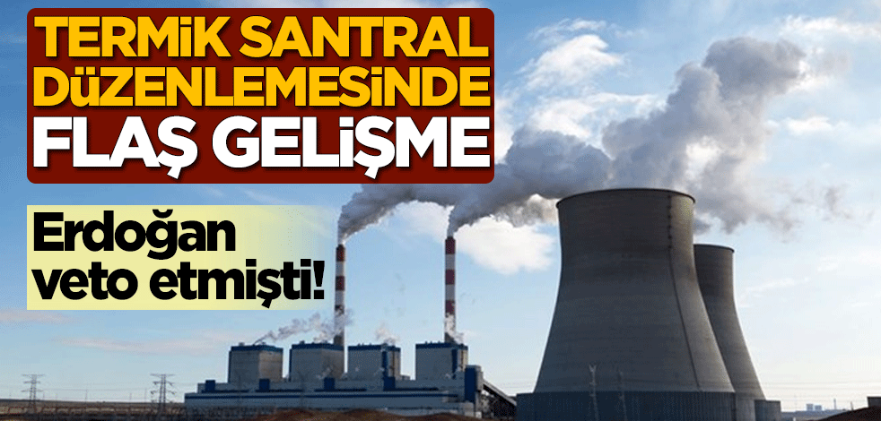 Erdoğan veto etmişti! Termik santral düzenlemesinde flaş gelişme