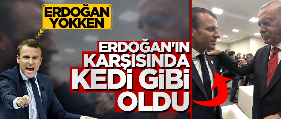 Erdoğan yokken aslan kesilen Macron, Erdoğan karşısında kedi gibi oldu!