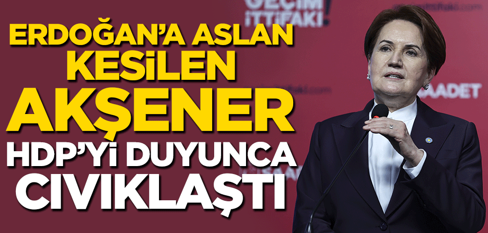 Erdoğan'a aslan kesilen Akşener HDP'yi duyunca cıvıklaştı