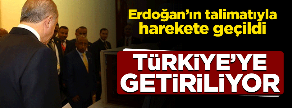 Erdoğan'a hediye edilen aslanlar Türkiye'ye getirilecek