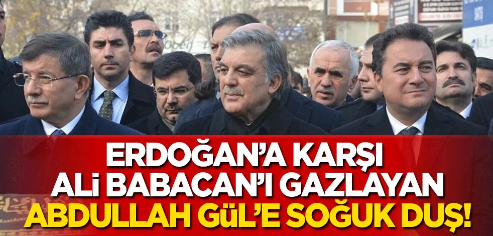 Erdoğan'a karşı Ali Babacan'ı gazlayan Abdullah Gül'e soğuk duş!