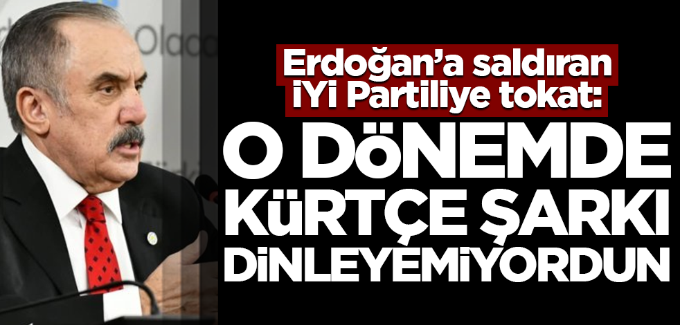Erdoğan'a saldıran İYİ Partiliye tokat: O dönemde Kürtçe şarkı dinleyemiyordun!