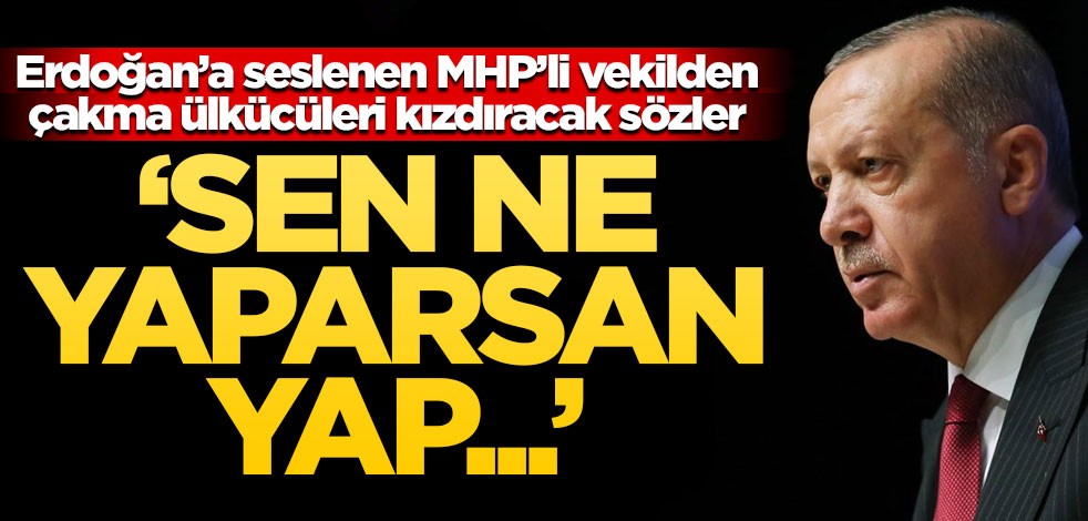 Erdoğan'a seslenen MHP'li Cemal Enginyurt'tan İYİ Partililere tepki