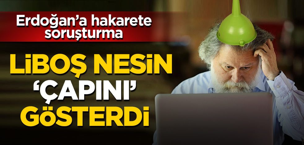 Erdoğan'a 'tımarhane müdürü' diyen Ali Nesin'e hakaretten soruşturma