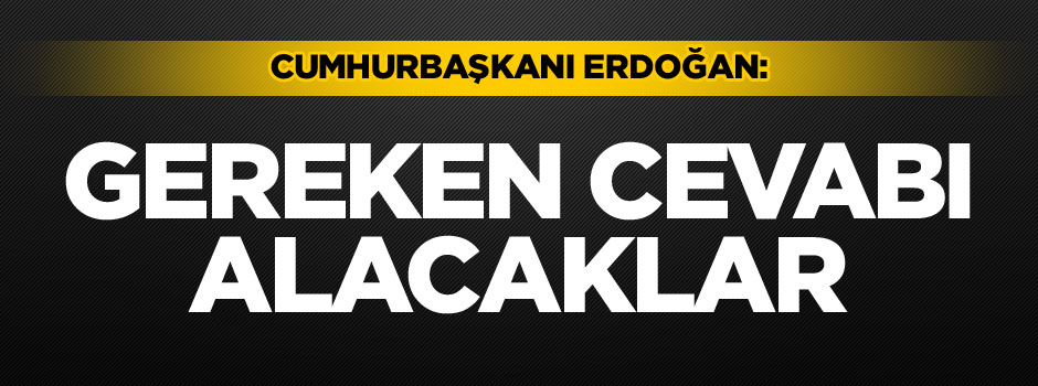 Erdoğan'dan açıklama: Gereken cevabı alacaklar