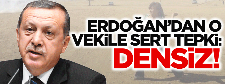 Erdoğan'dan asker taşlayan Tuğluk'a: Densiz