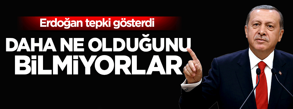 Erdoğan'dan Avrupa'ya 'cihad' tepkisi
