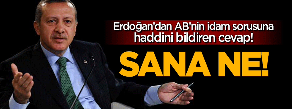 Erdoğan'dan Avrupa'ya sert cevap: Sana ne!